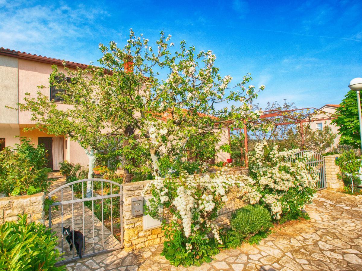 Apartments Dvorine 1210 班约勒 外观 照片